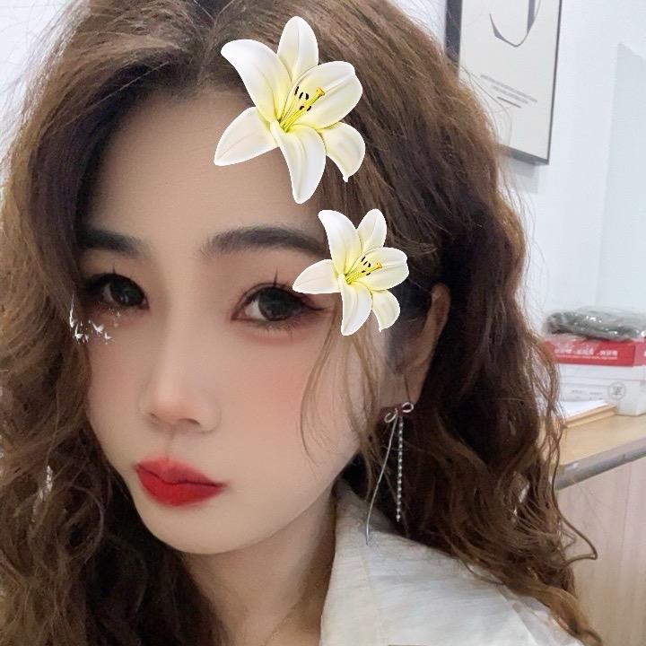 小丑鱼