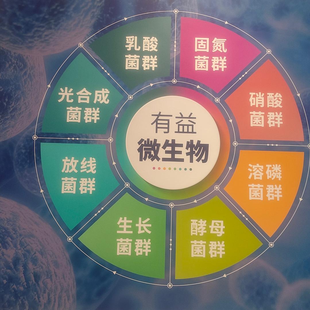 大微时代 解决土壤问题