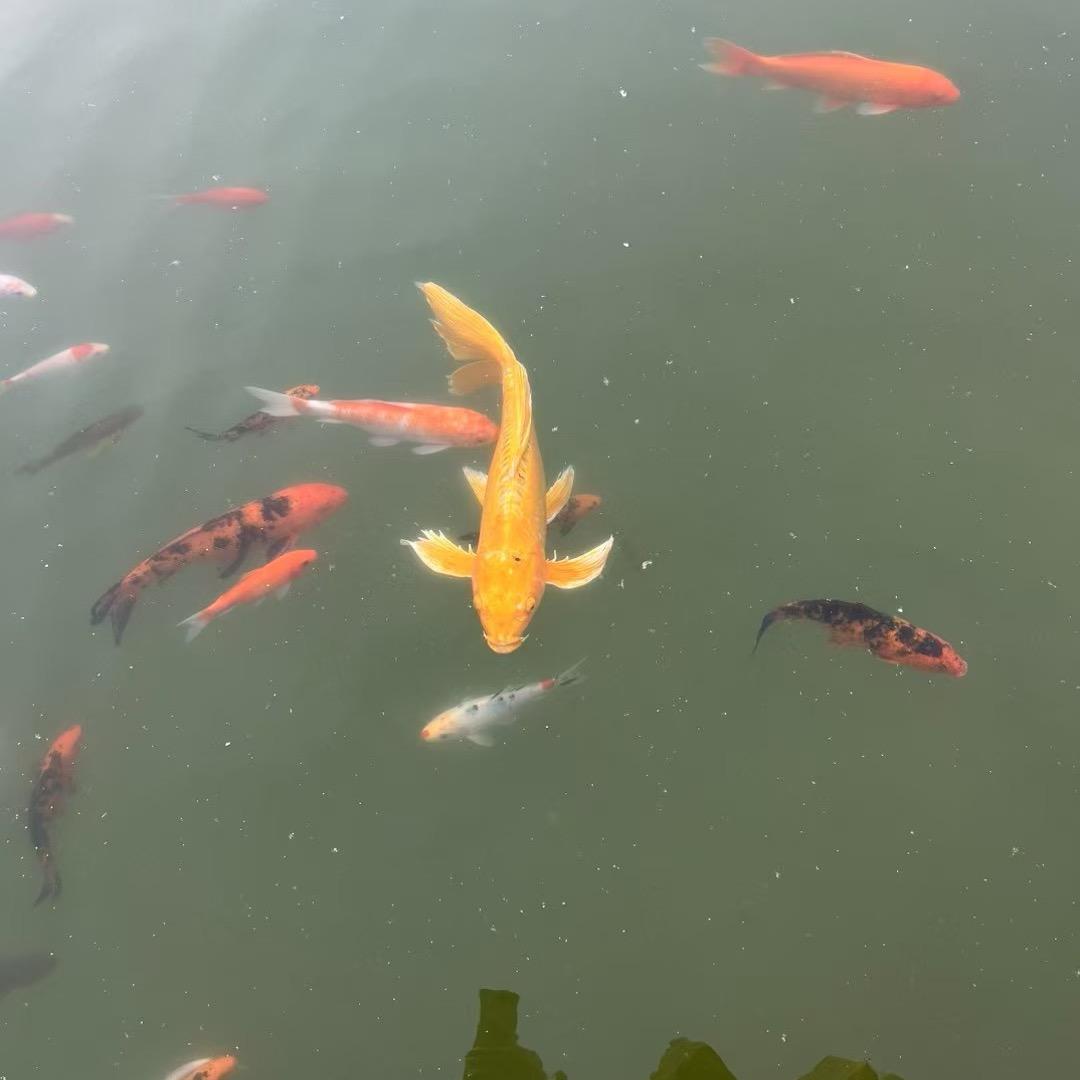 东平马拉松⭐️斌哥