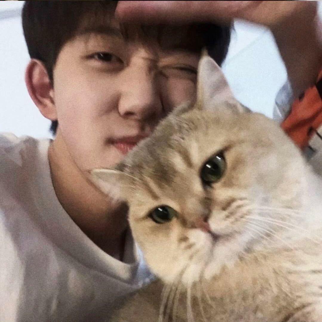 小宝 ˃̣̣̥ᯅ˂̣̣̥