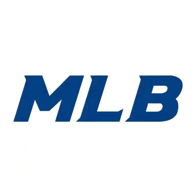 MLB手表