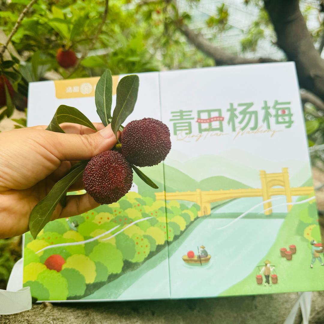 罗晶丽.（百果汇园）