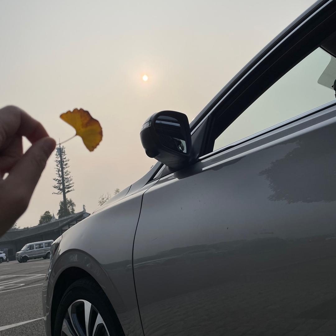 平平无奇的接盘侠