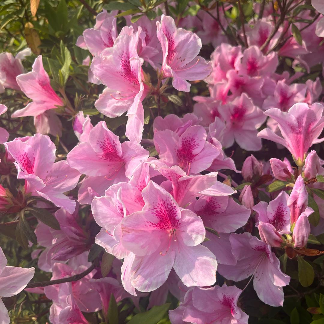 🌈幸运儿是我中大奖啦