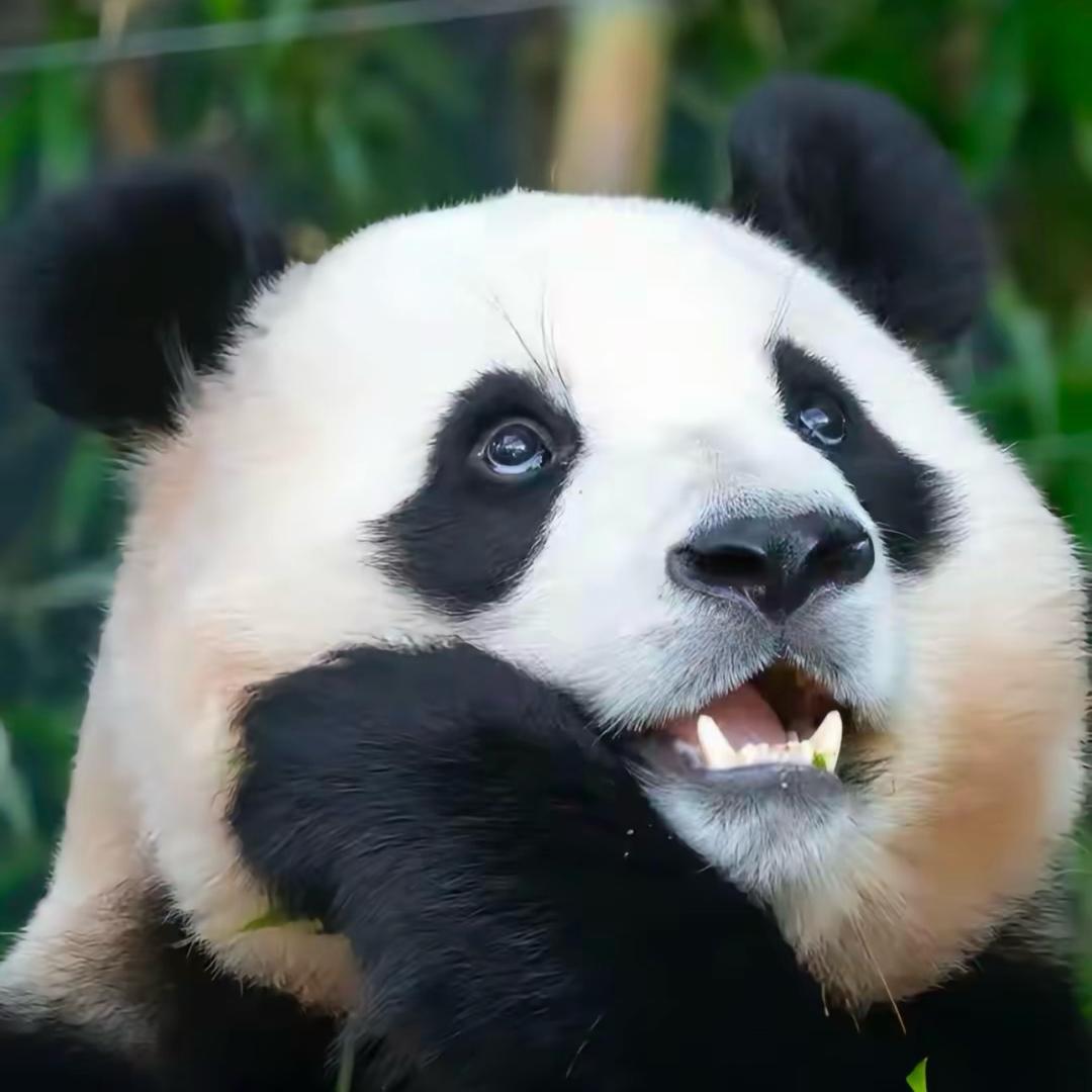 一一品味（人生百味源于心态）