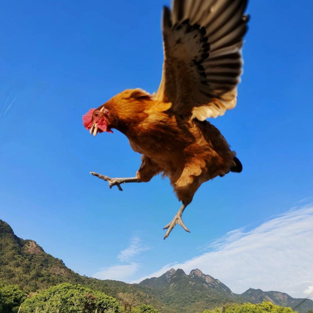 相亲困难户老王