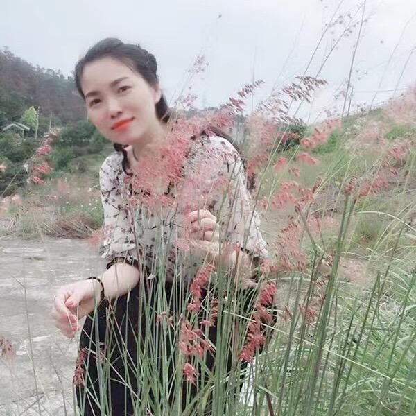 甘草姐