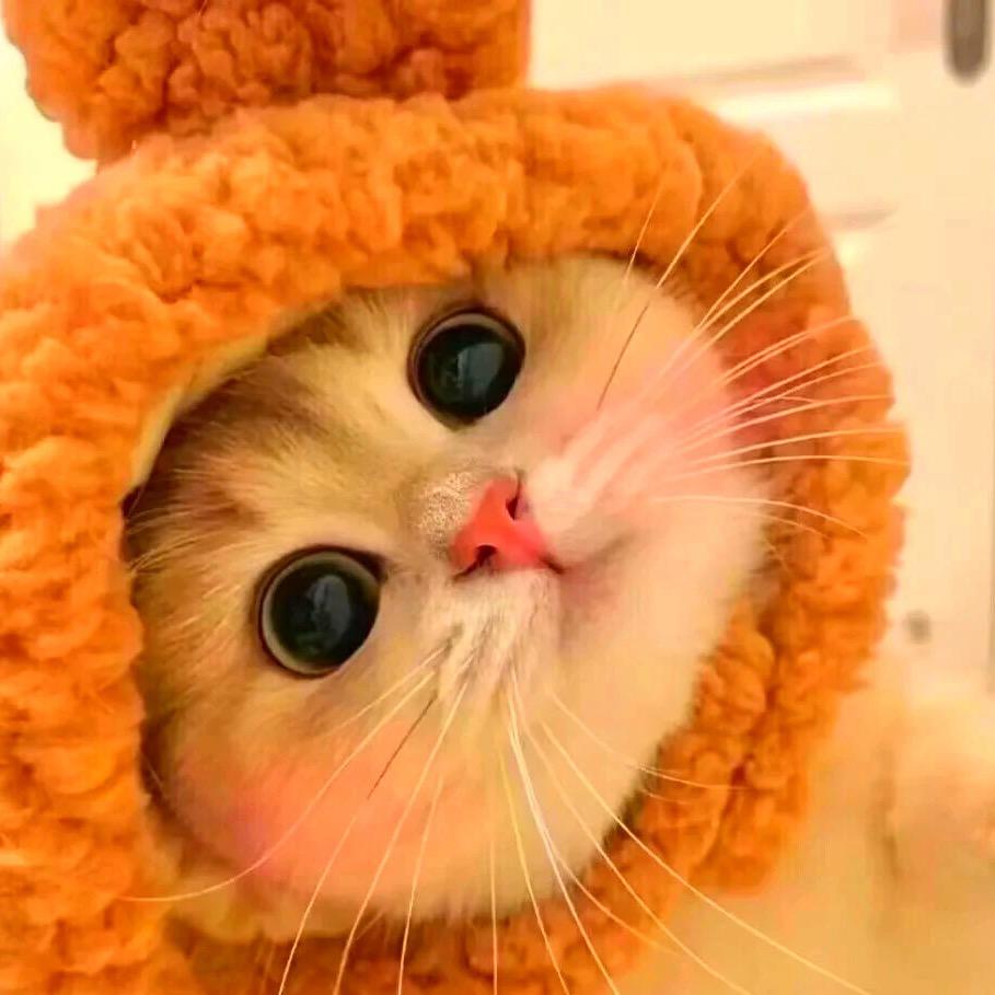 微微🐯