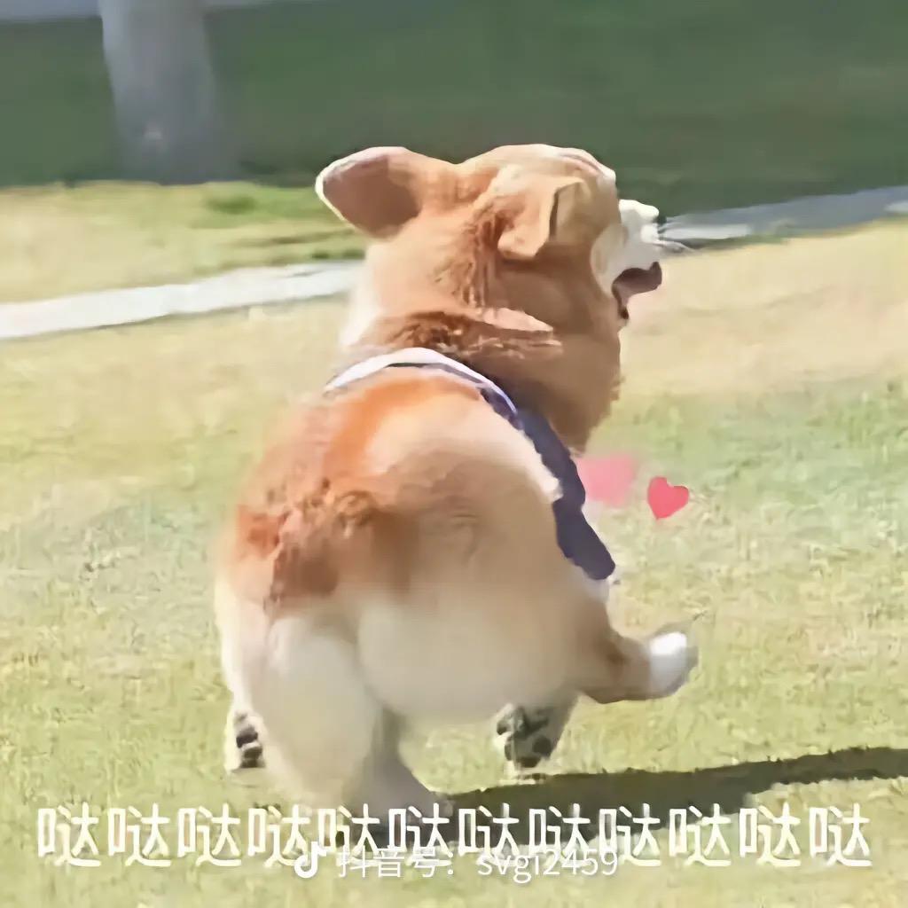 小坏坏