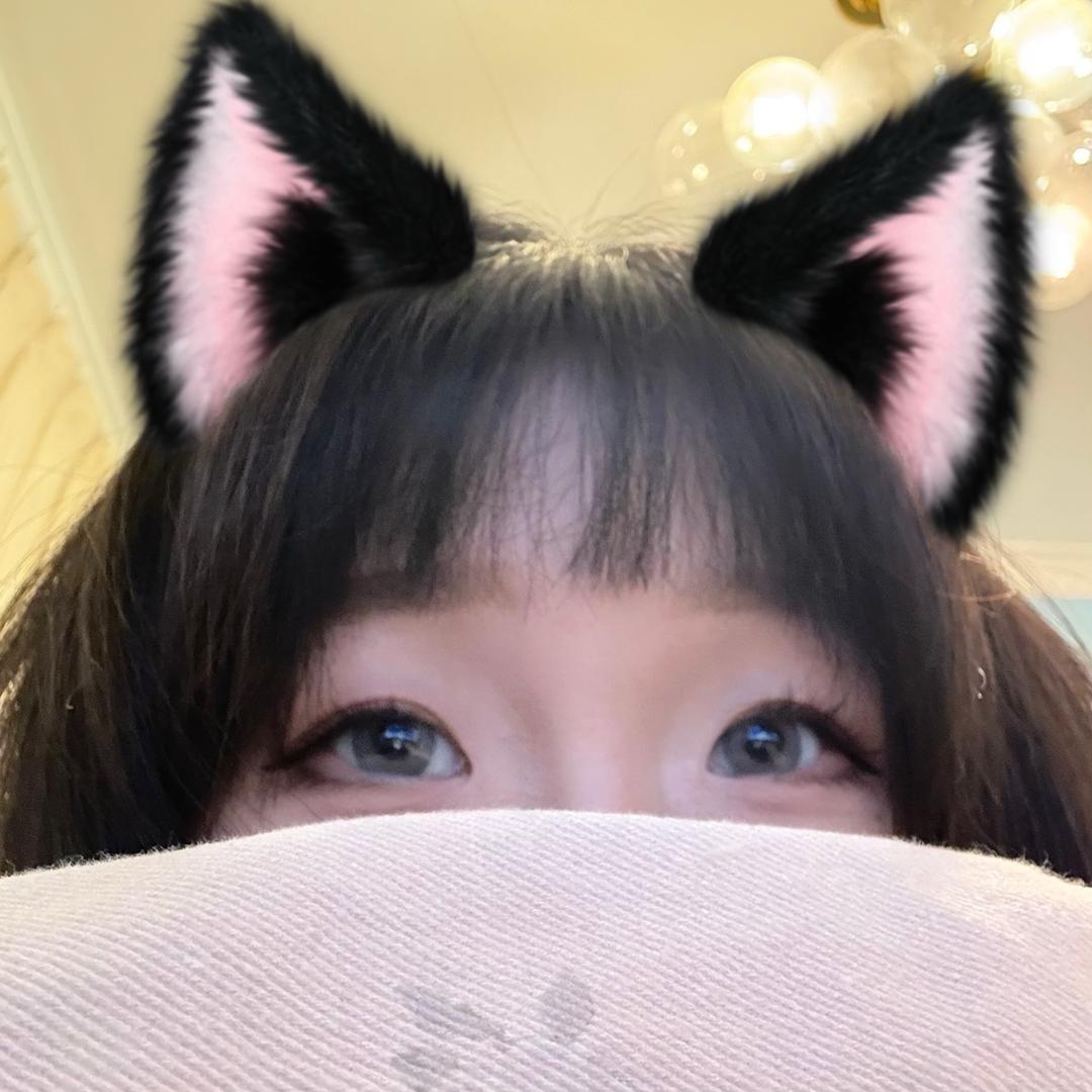 花菜菜丶