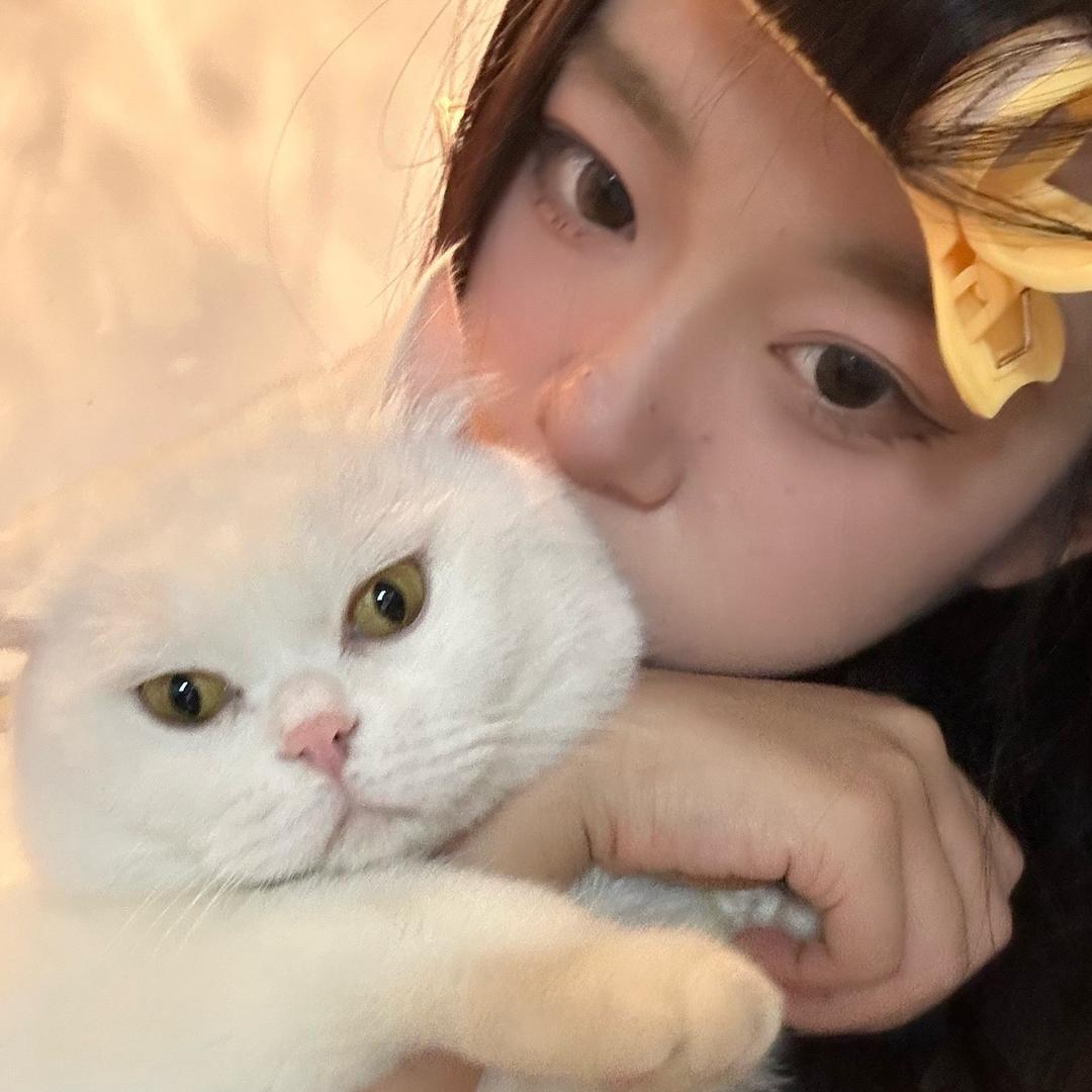 小蝴蝶的朋友圈