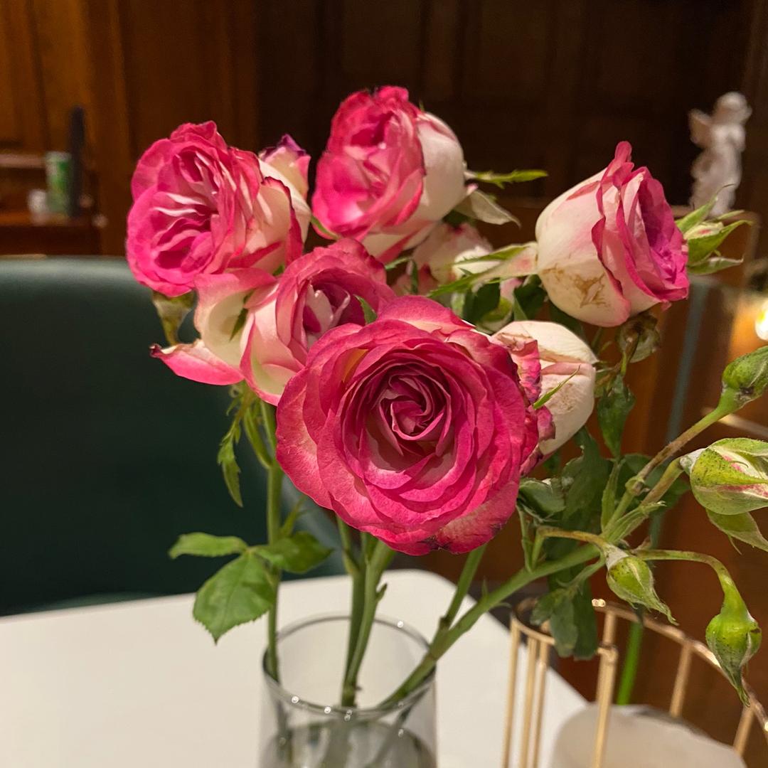 手指健康，健康手指。