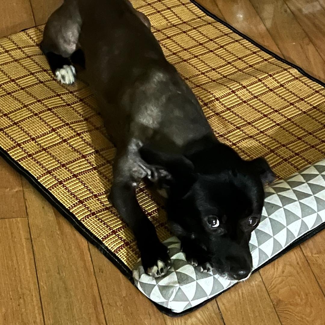 🌹韩可爱🐼¹¹⁷⁵