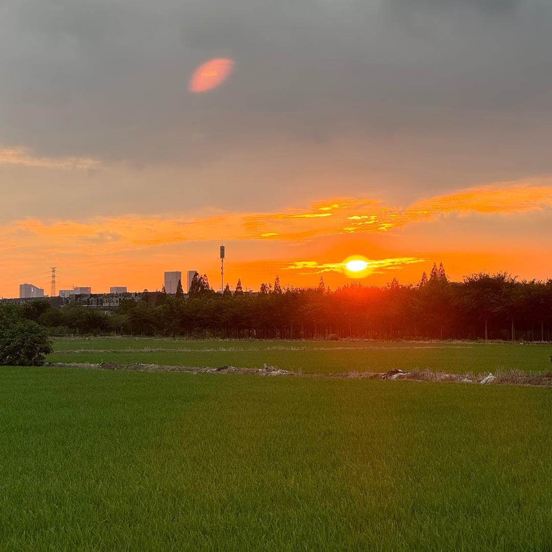 琐碎日记📷