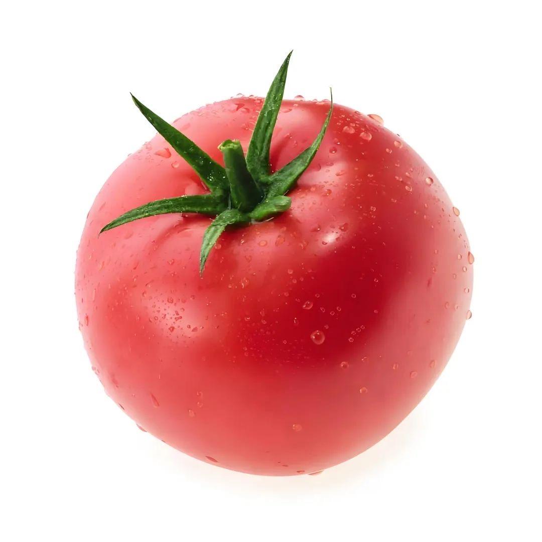番茄收割机🍅