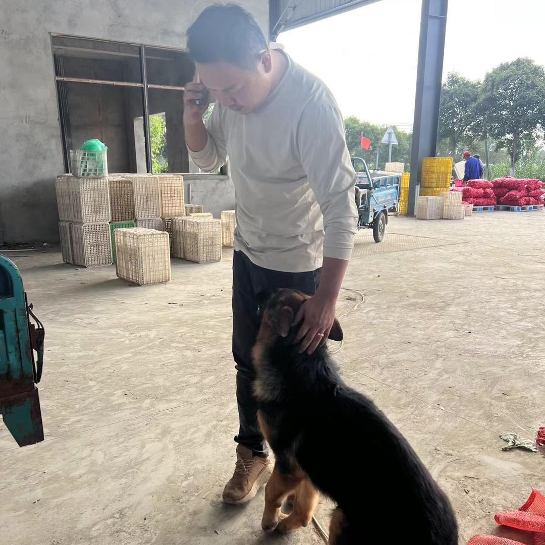 东台陶子蔬果农场