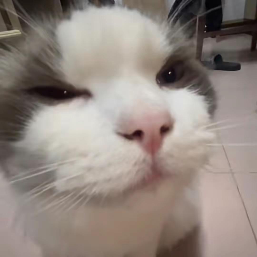 凉笙.🌈
