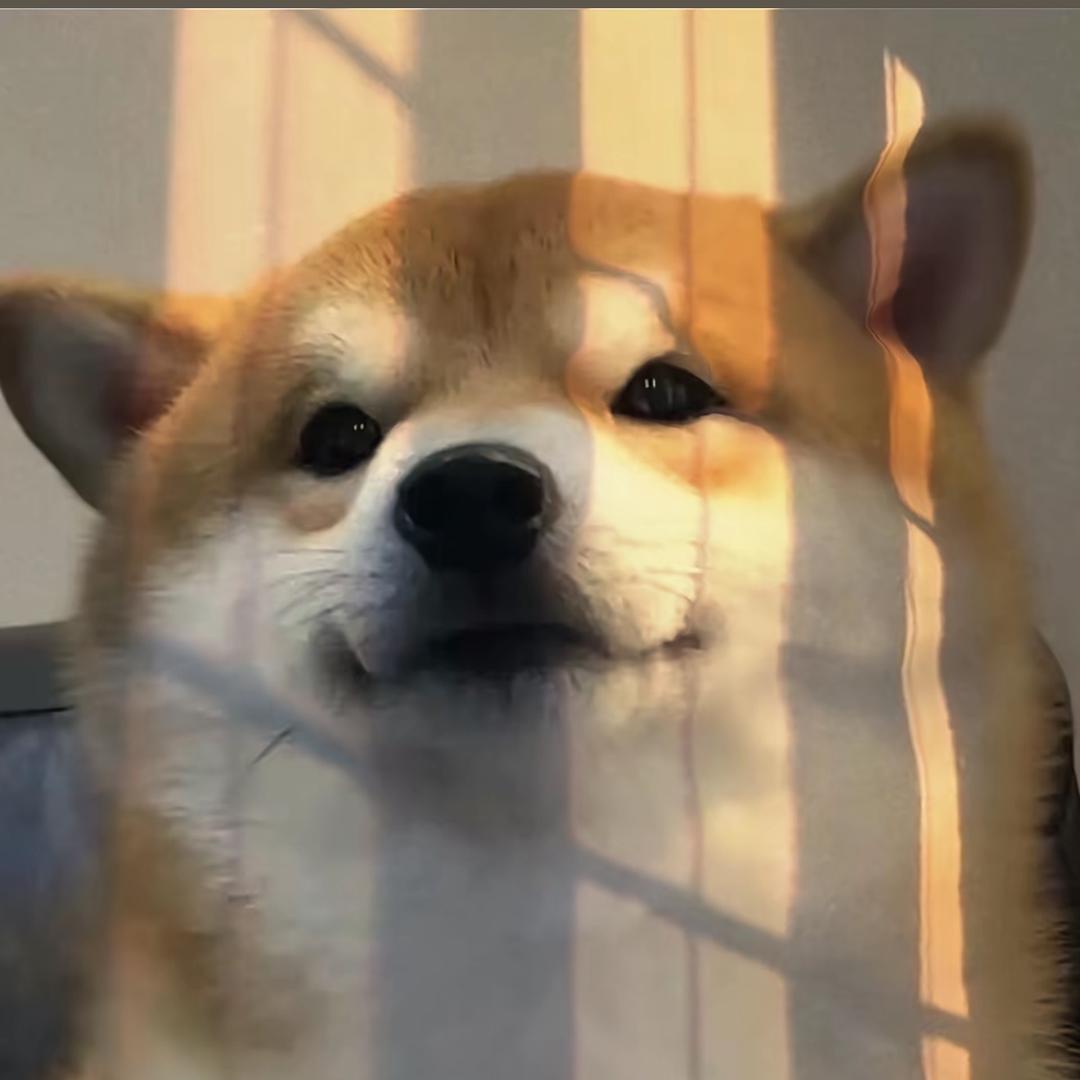 安然（团队）广东深圳市