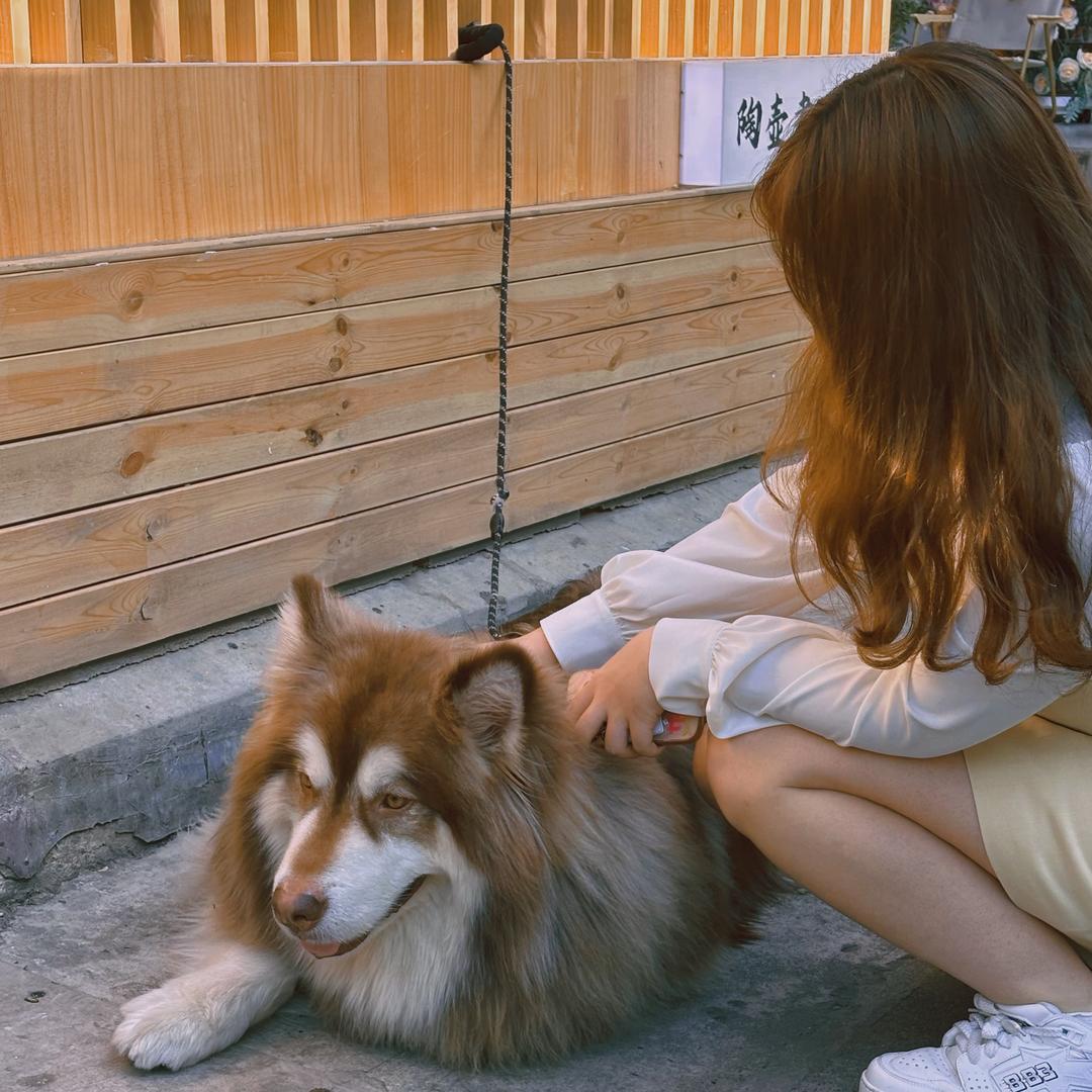 下雨不打伞（🎁1000）