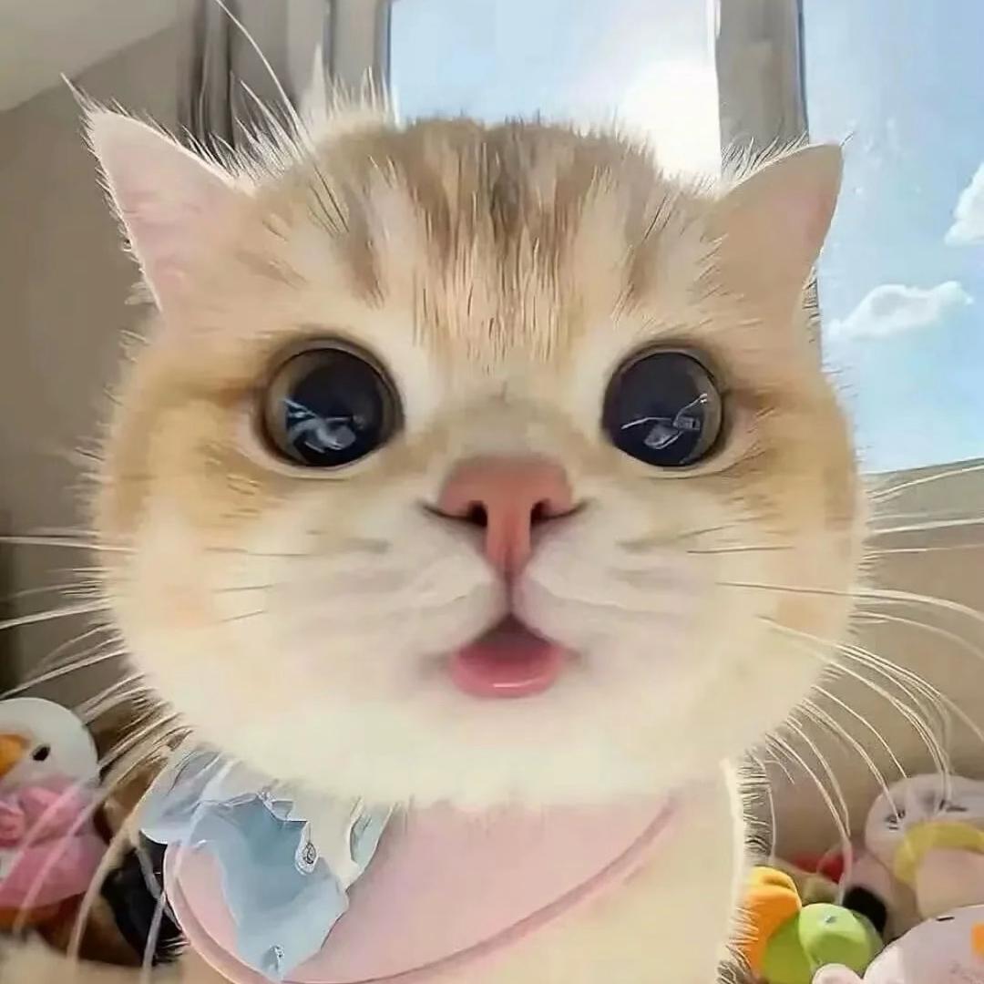 徐熙媛^