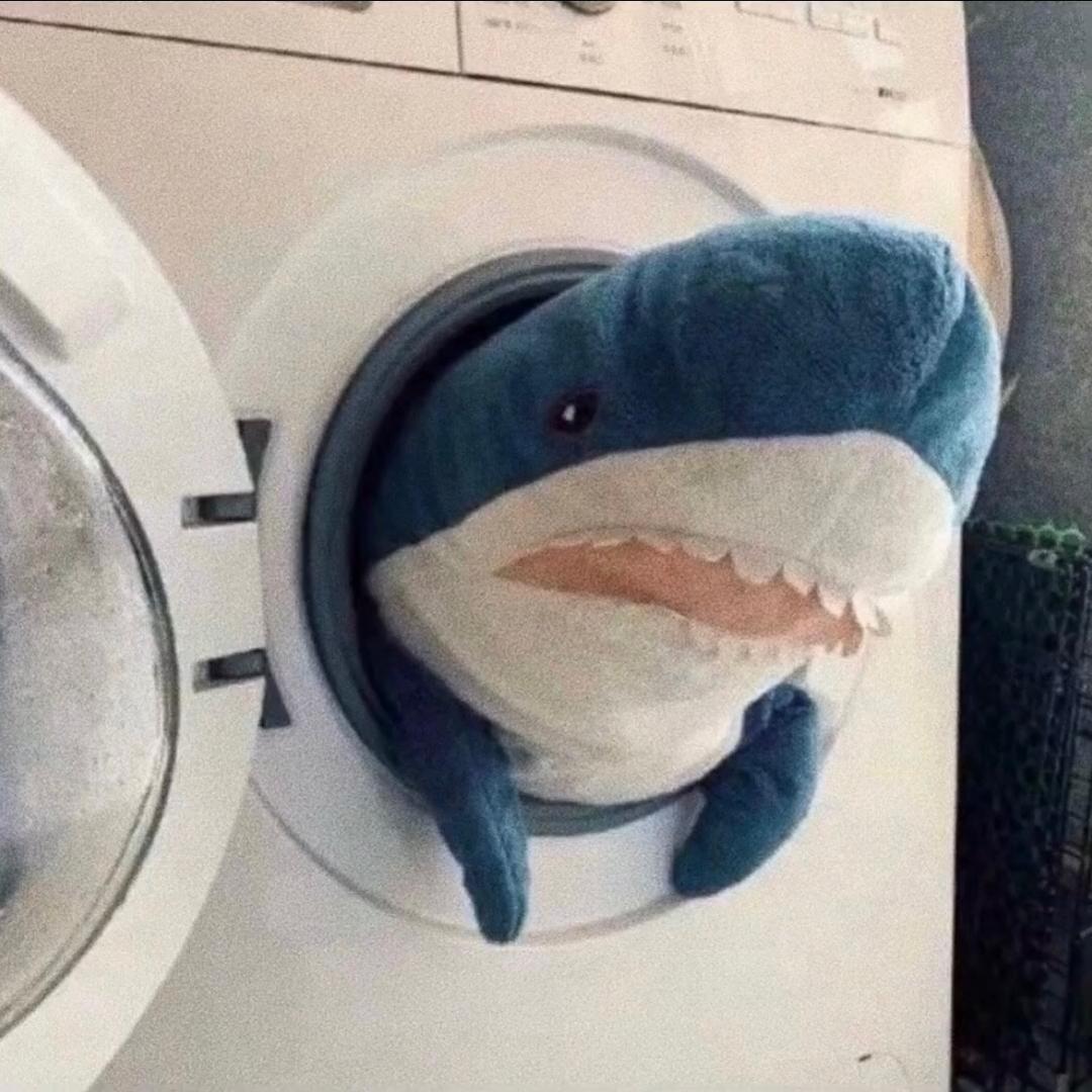 鸣崽