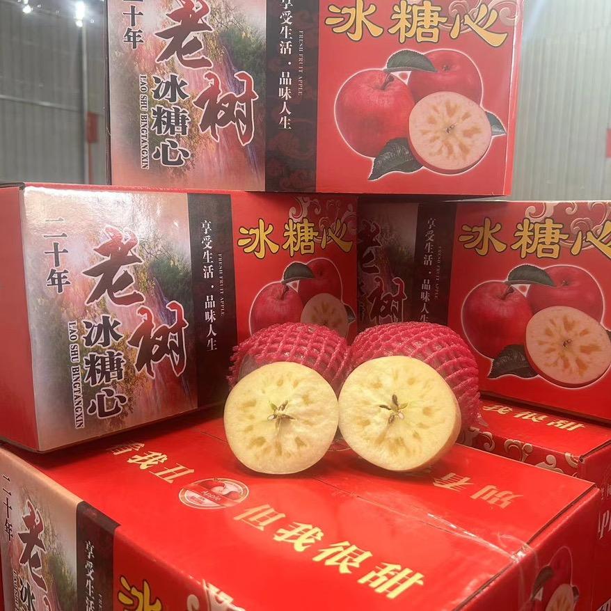 鑫农业马小雷