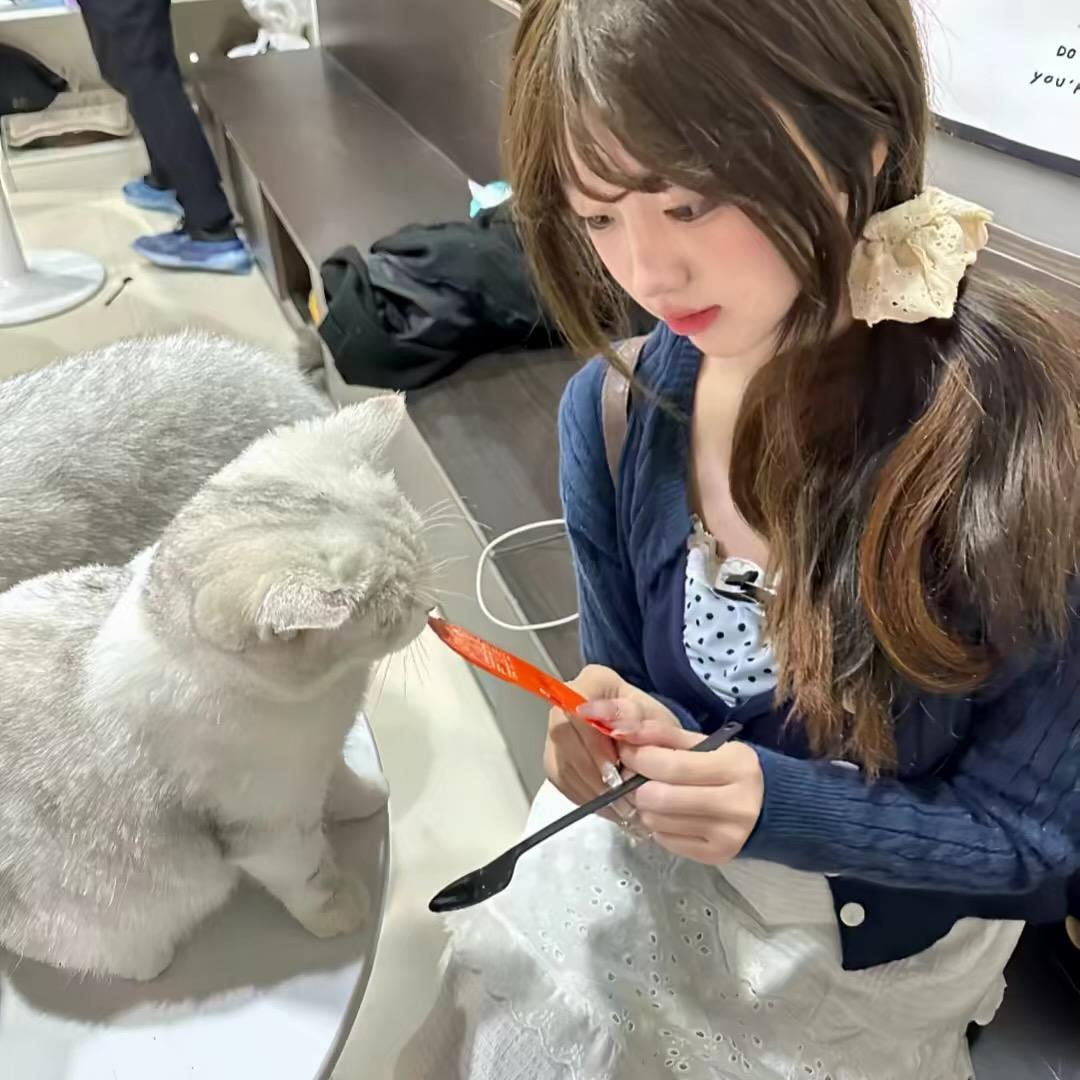草莓熊家电