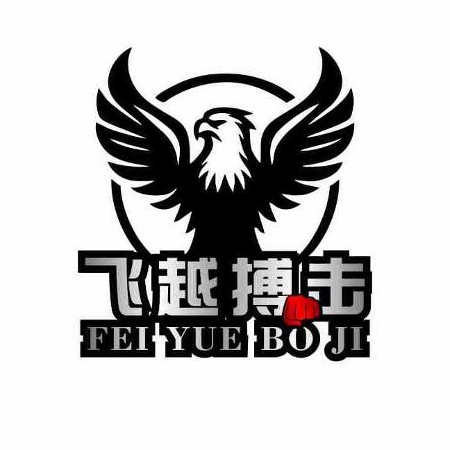 飞越搏击俱乐部