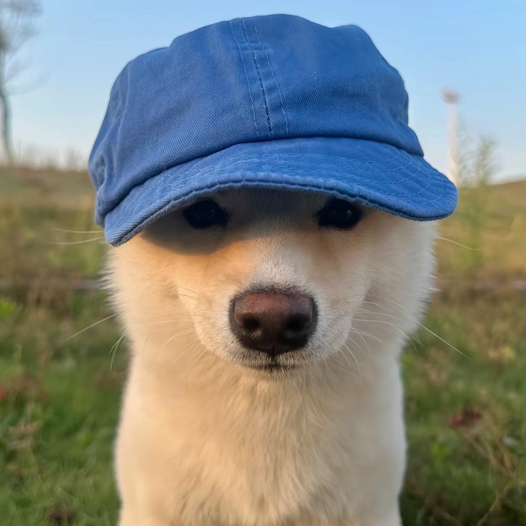 大浴场闪击巴别塔总裁