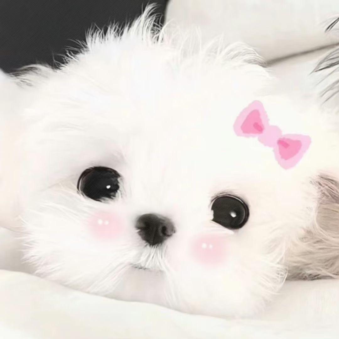 念，