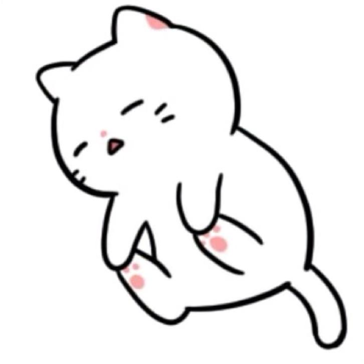 爬树小熊猫
