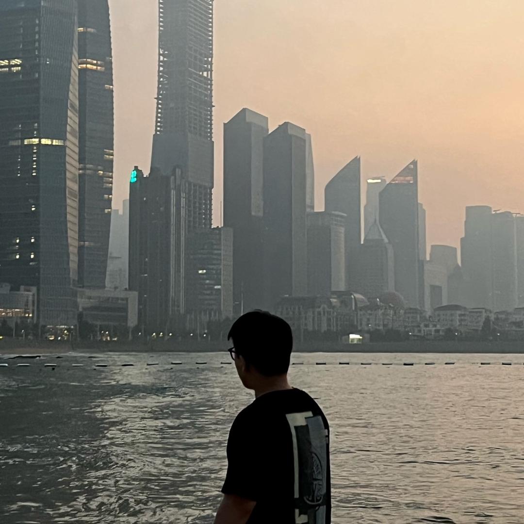 可乐鸡翅·