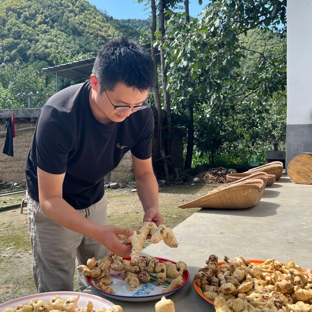 秦岭山里有人家