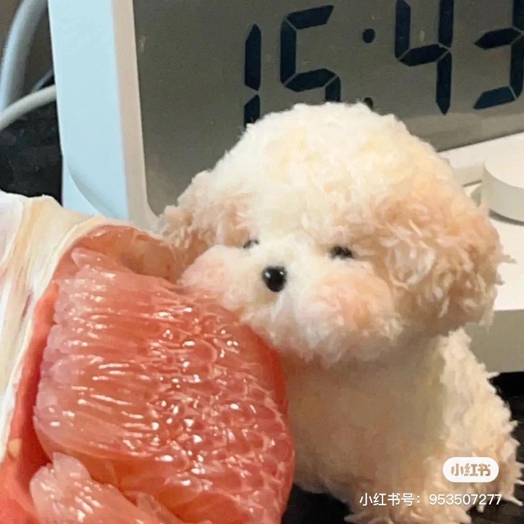 ysy的吐槽箱