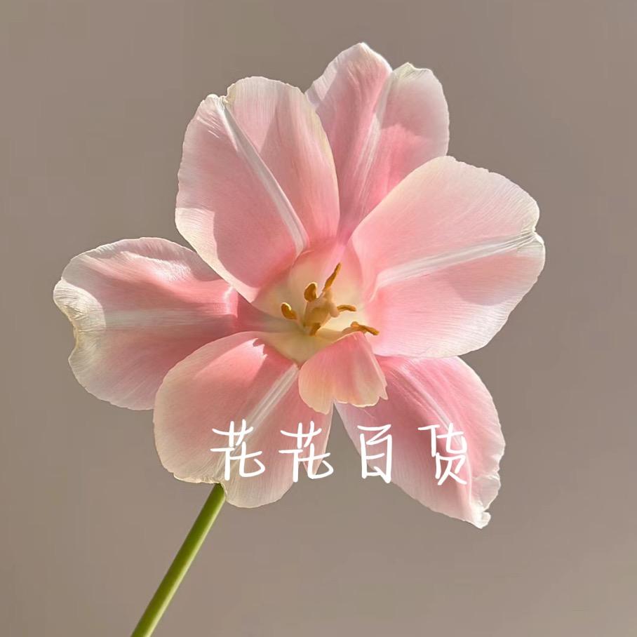 花花百货