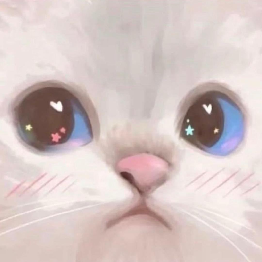蛋挞脑袋