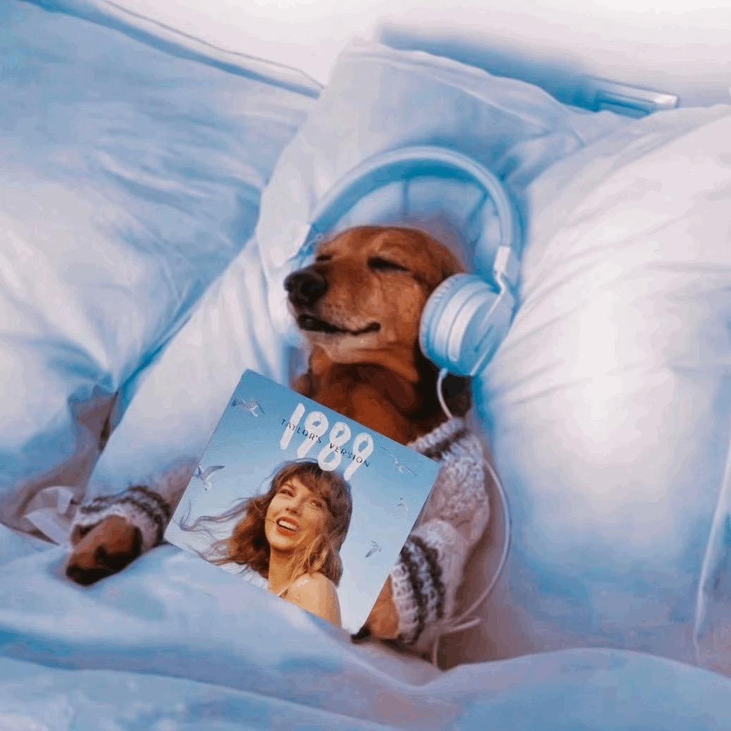 椒丝腐乳炒西瓜