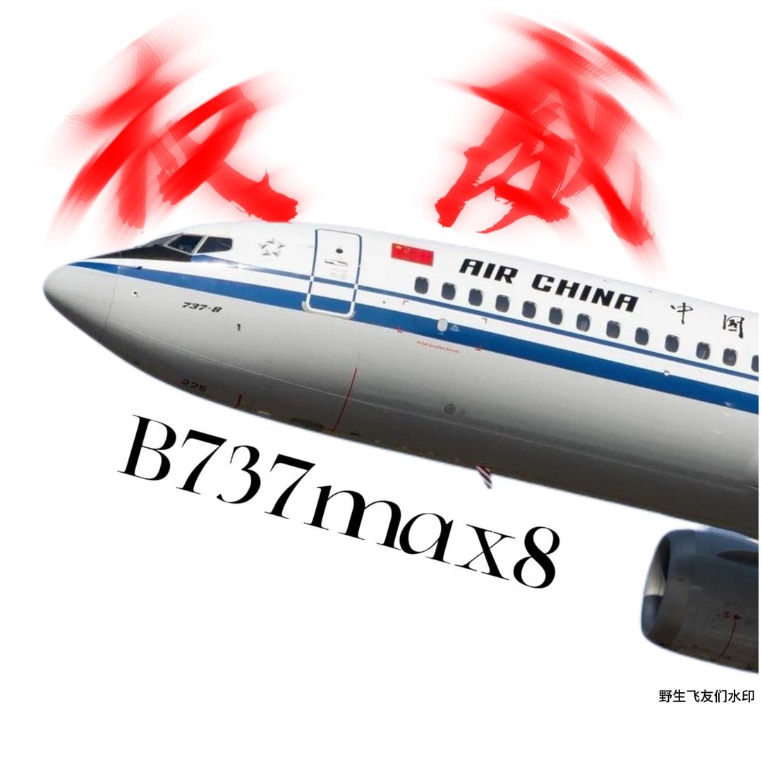 野生飞友✈️（反空难小鬼）