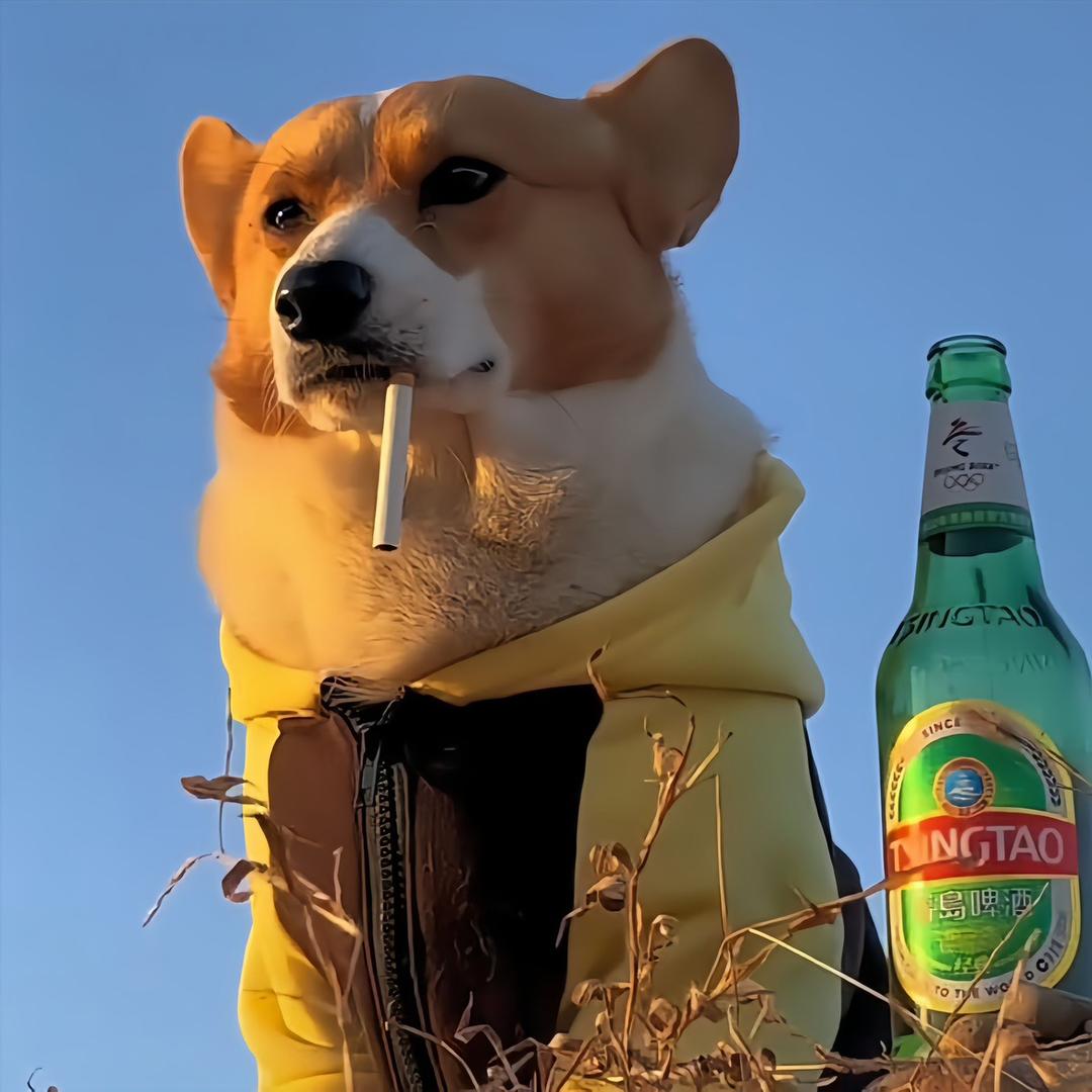 休闲
