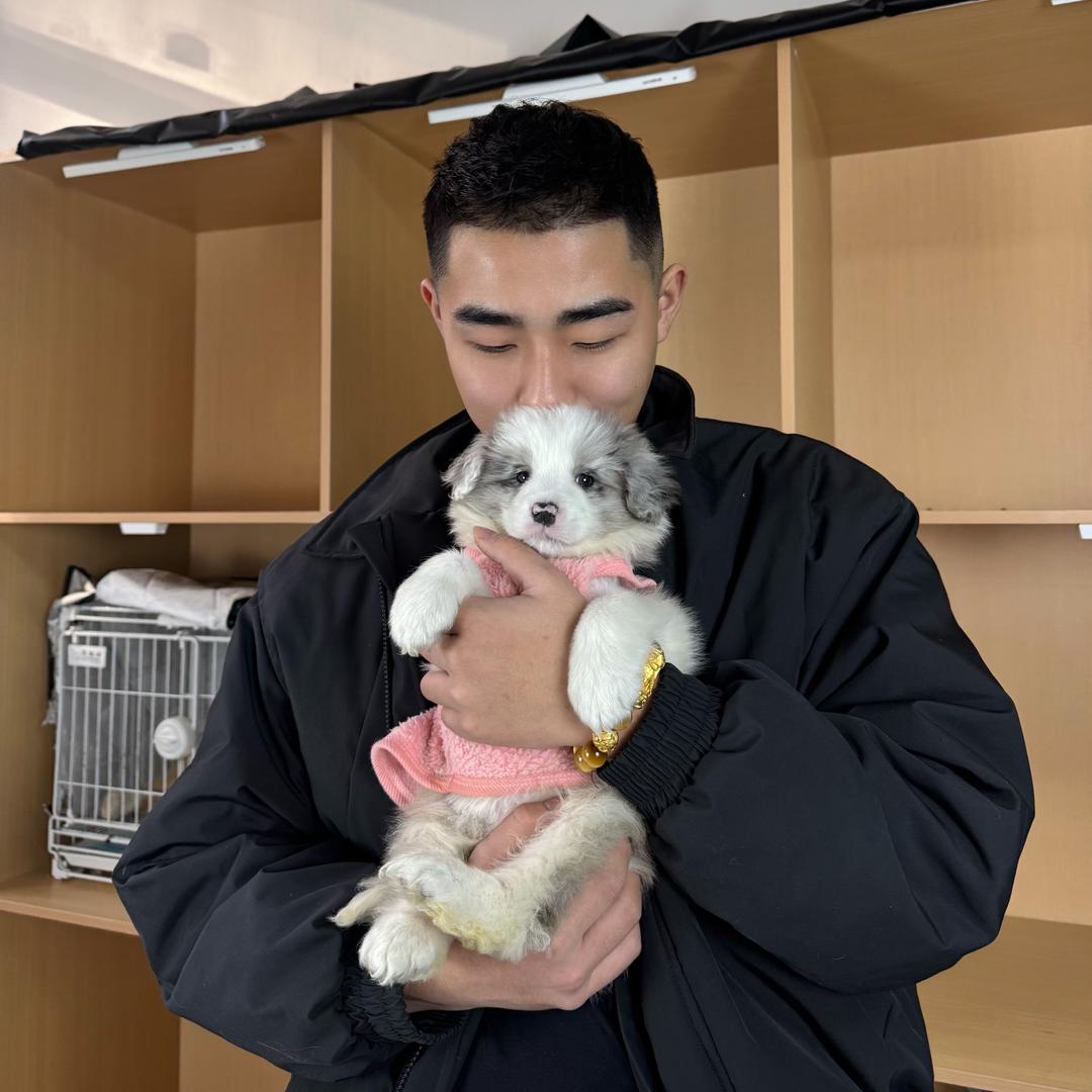 南京布噜噜犬舍