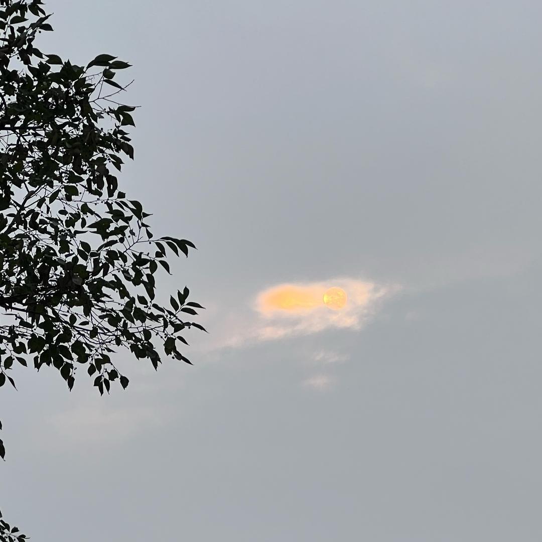 Wen文（彬彬力量塑形）