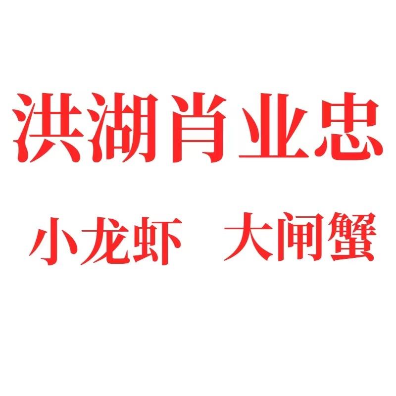 洪湖肖业忠
