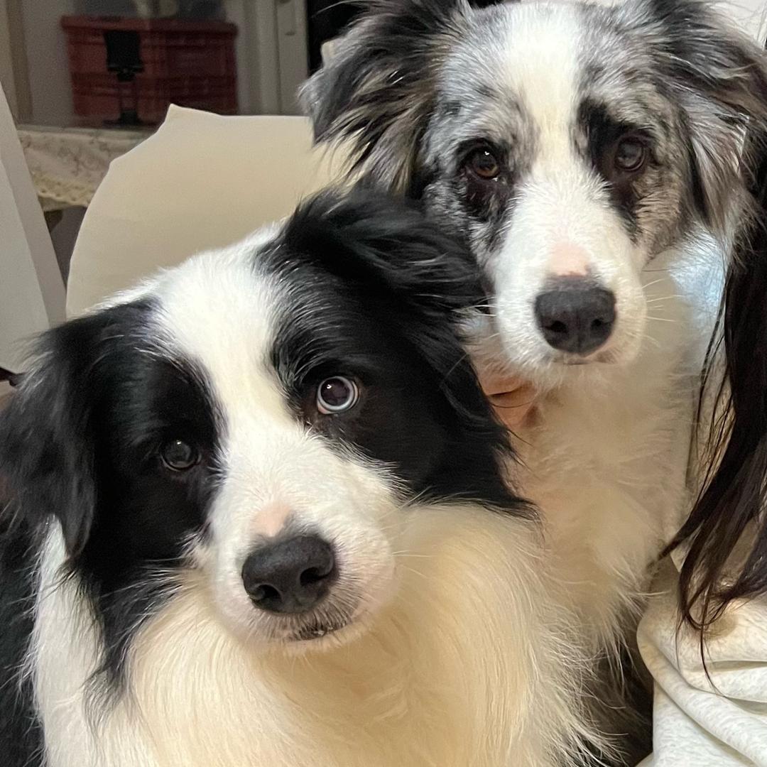 狼牙&虎妞