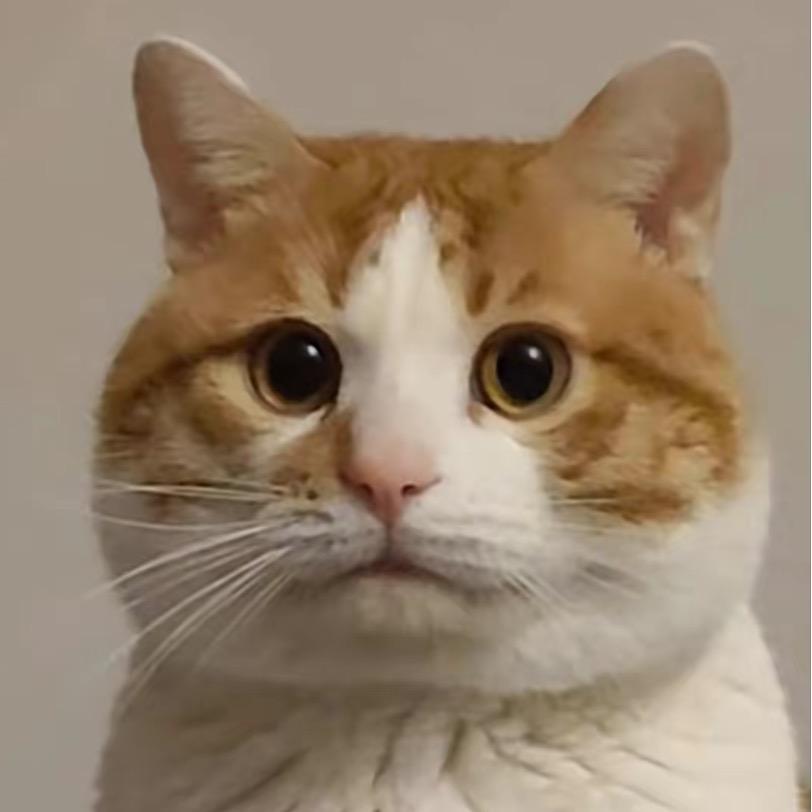 4759