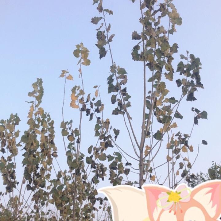 心态好身体好