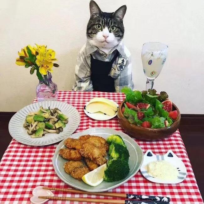 释怀过了