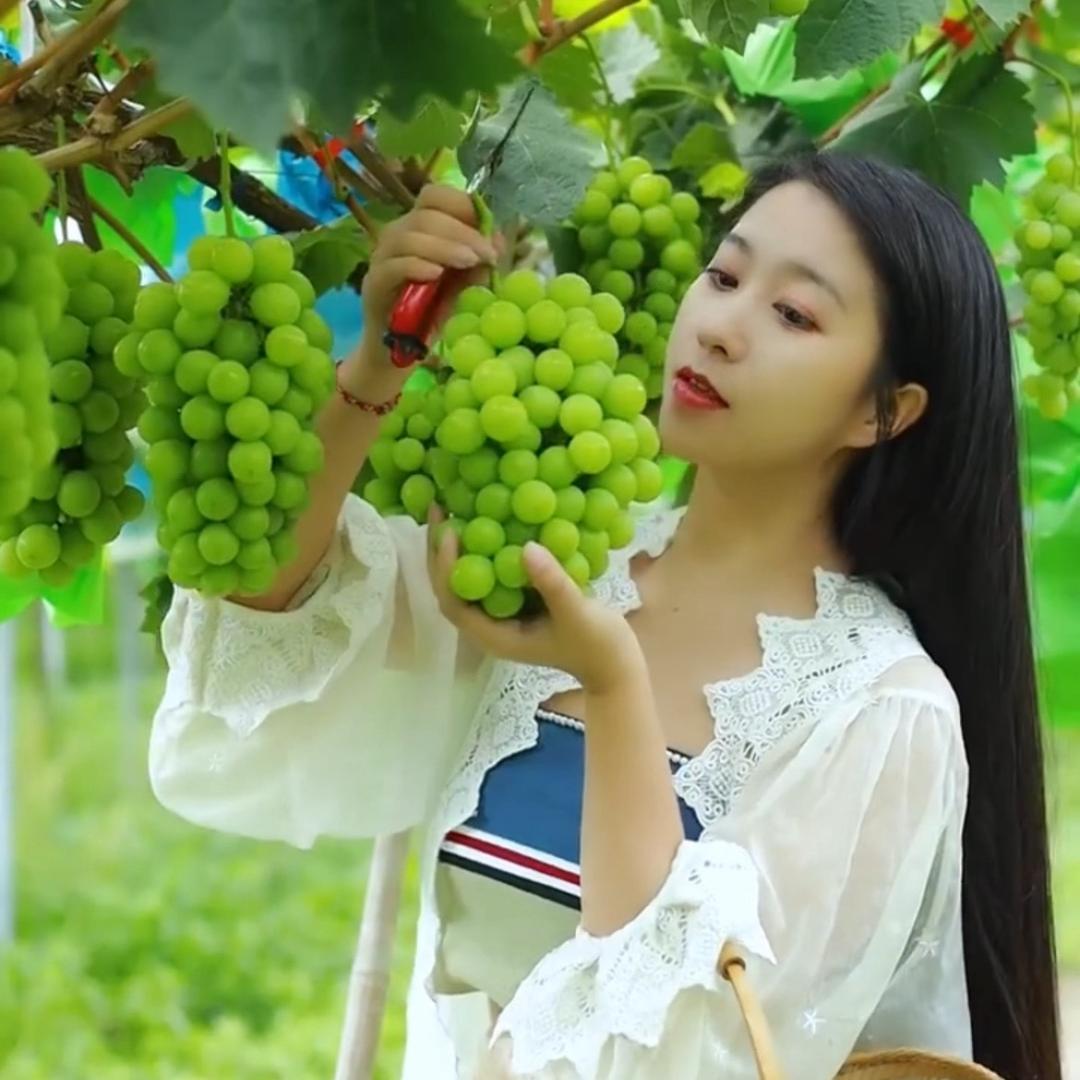 造燊果树苗木专营店