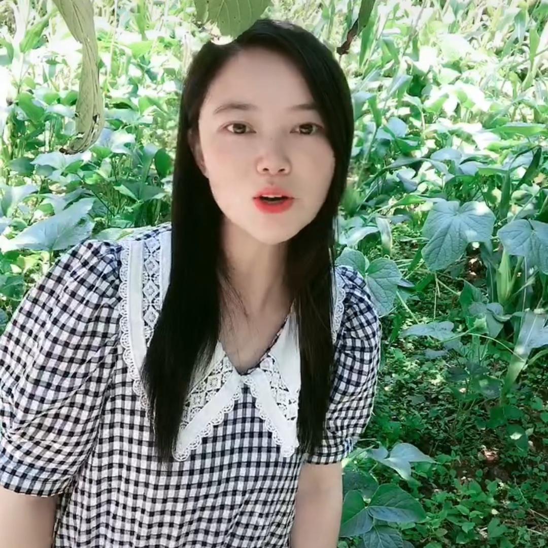 乖乖