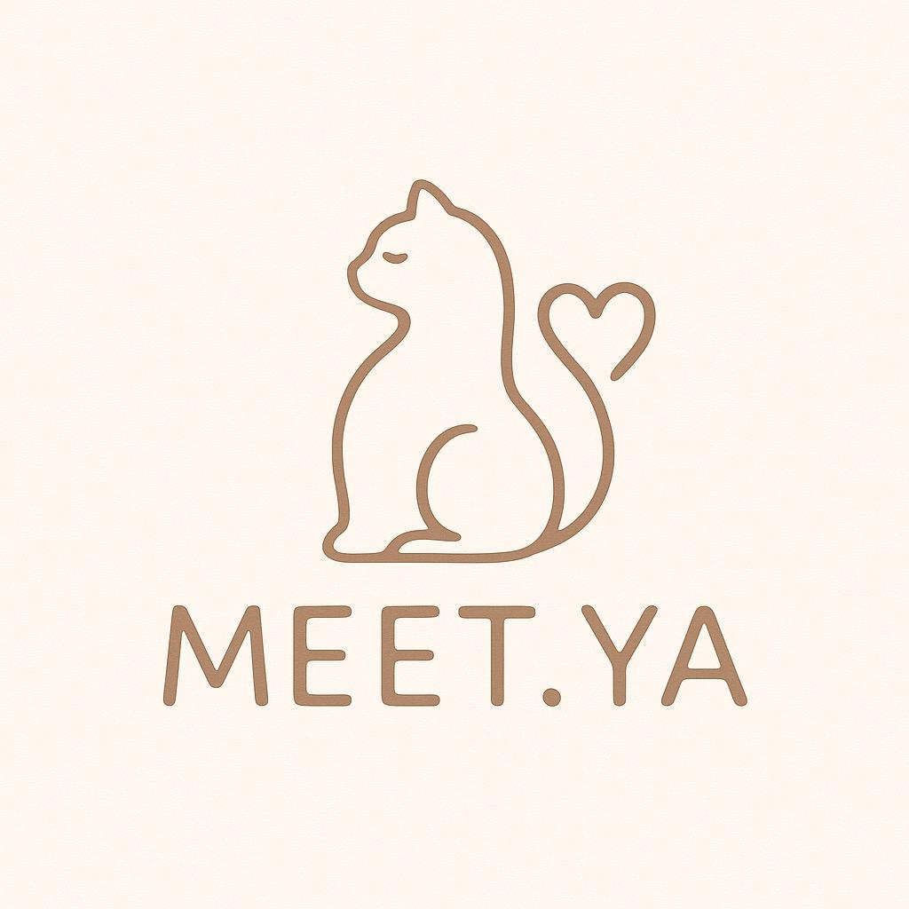 MEET.YA