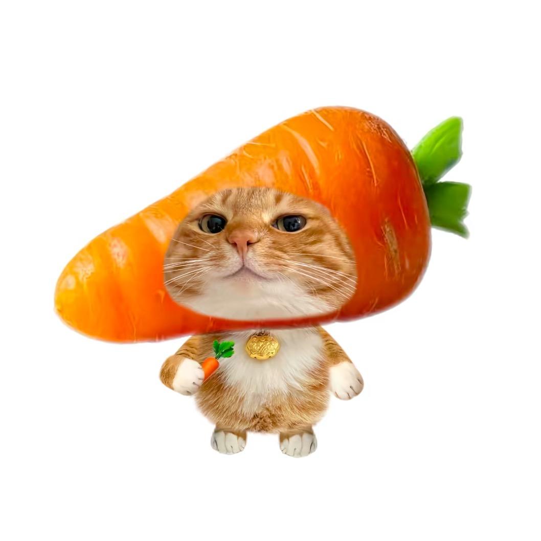 小帕v
